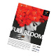 Magazine Ads